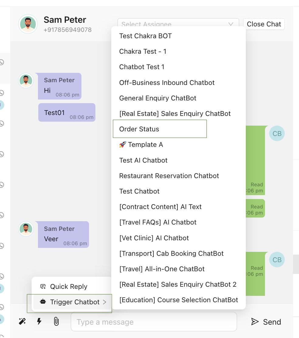 Manul_Chatbot_Trigger_